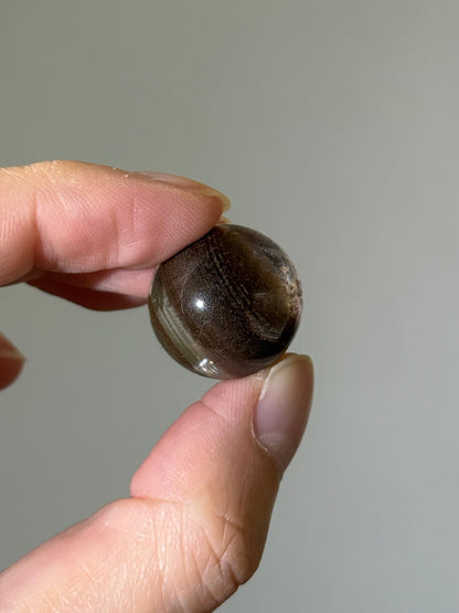 Collector’s Grade Brown Lodalite & White Cotton Like Inclusion Quartz Sphere, Brazil