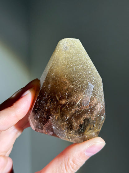 High Quality Collector's Grade Bright Golden Rutile in Smoky Quartz Freeform With Penetrator, Brazil