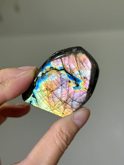 High Quality Full Flash Rainbow Labradorite Freeform, Madagascar
