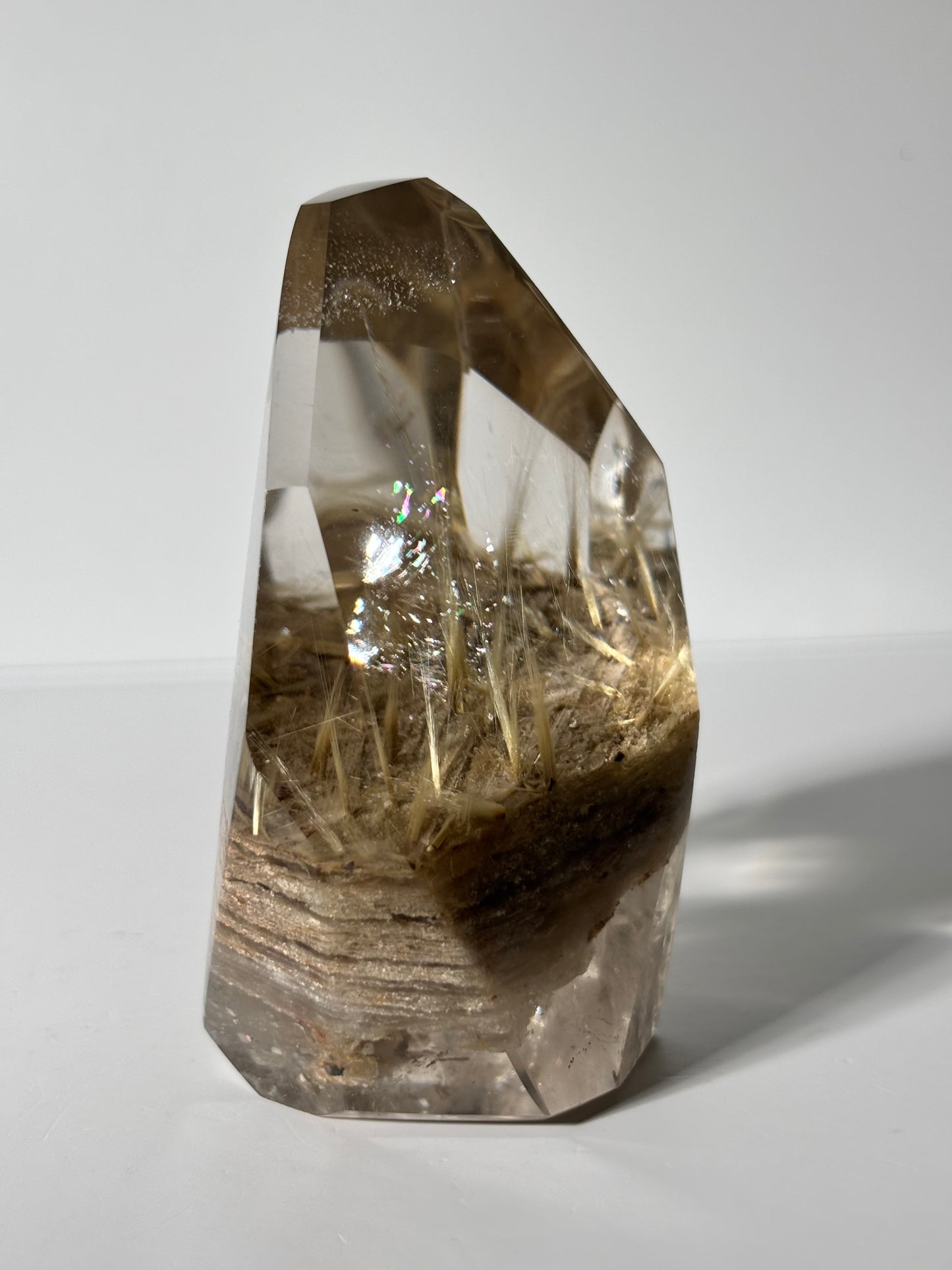 Statement Golden Starburst Rutile on Layered Lodalite Freeform