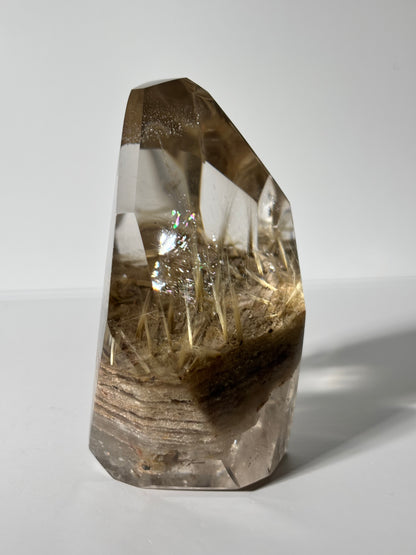 Statement Golden Starburst Rutile on Layered Lodalite Freeform