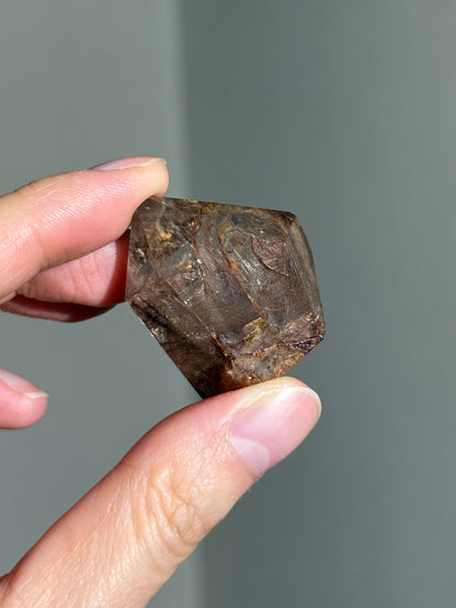 Dark Brown & Red Sagenite Rutile Freeform, Brazil