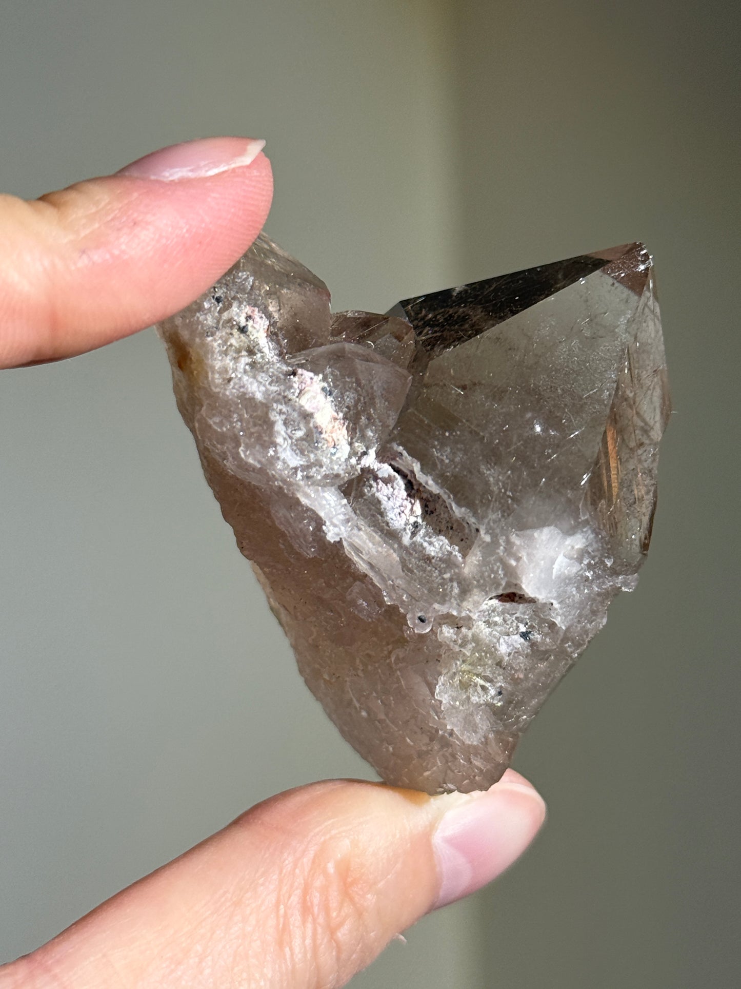 High Grade Unpolished Smoky Quartz Cluster with Rutile, Brazil
