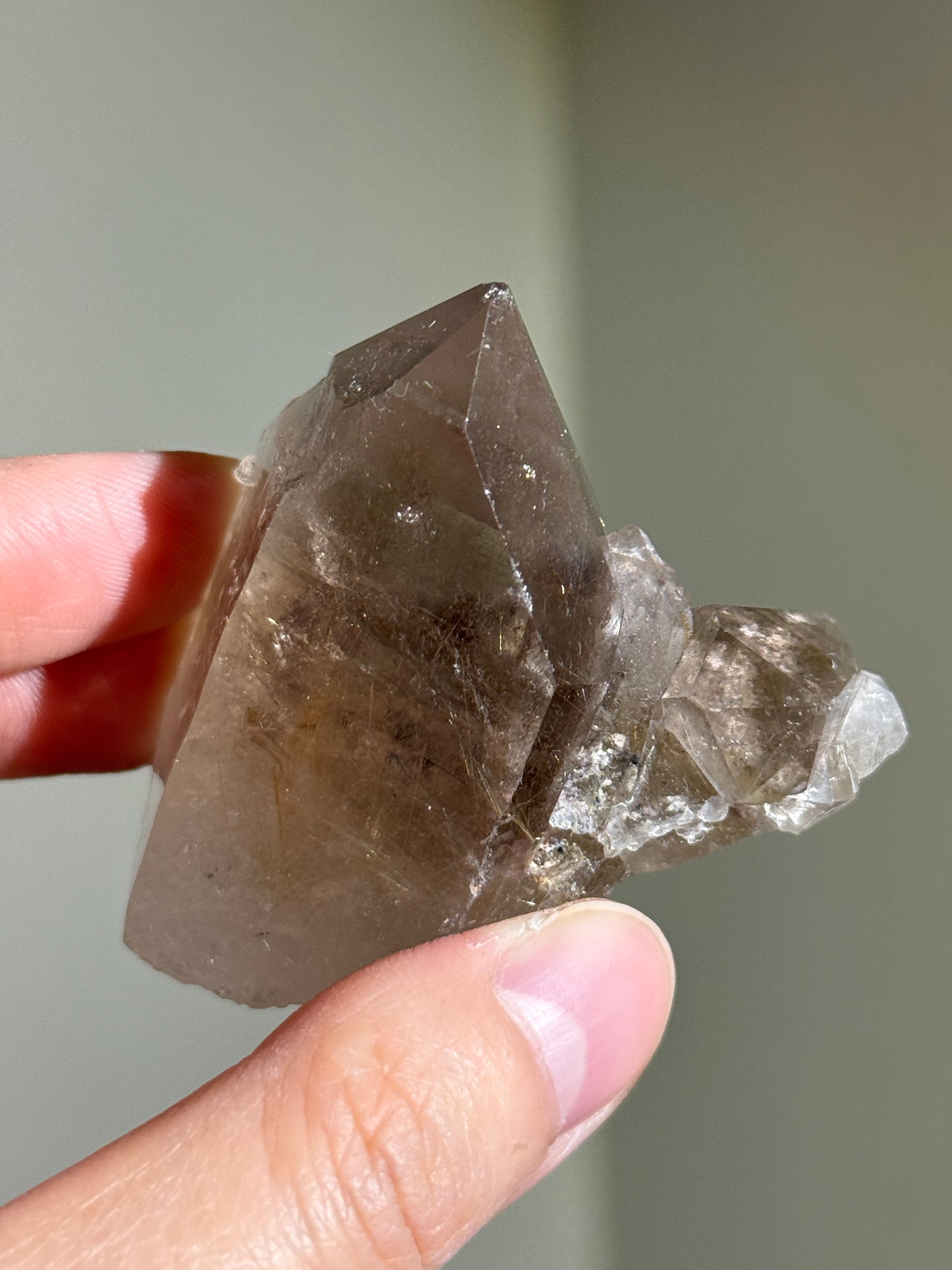 High Grade Unpolished Smoky Quartz Cluster with Rutile, Brazil