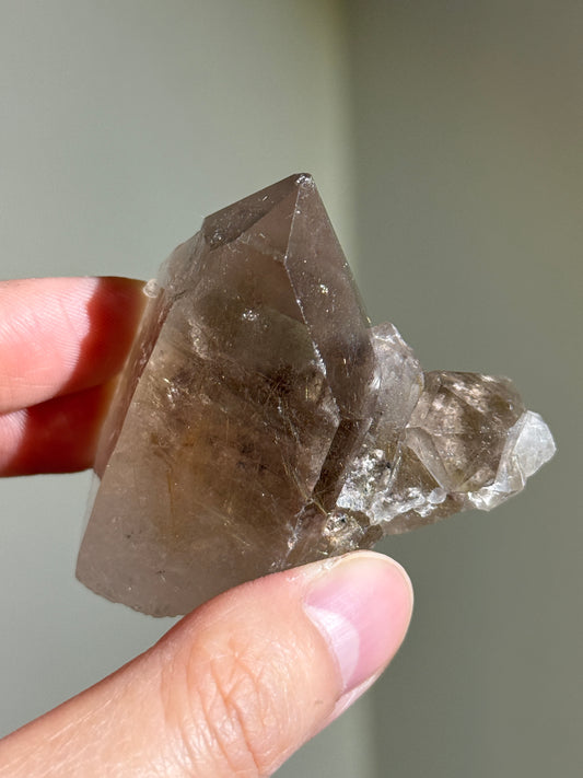 High Grade Unpolished Smoky Quartz Cluster with Rutile, Brazil