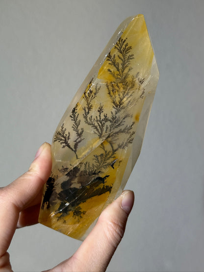 Rare Statement Dendritic Girasol Quartz Freeform on Stand, Brazil