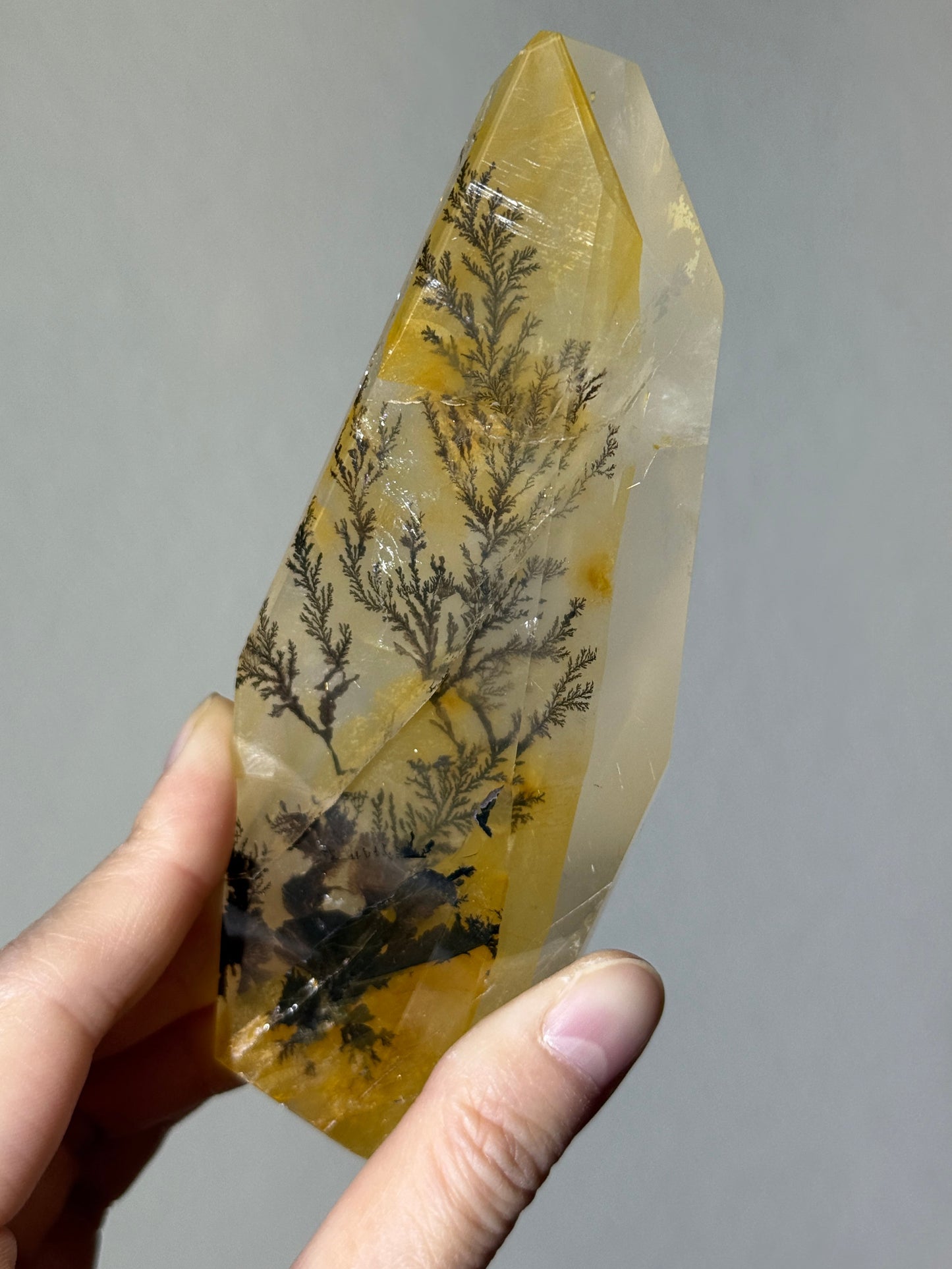 Rare Statement Dendritic Girasol Quartz Freeform on Stand, Brazil