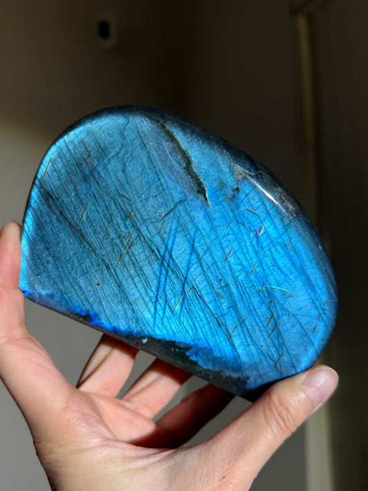 Statement Electric Blue Full Flash Labradorite Freeform, Madagascar