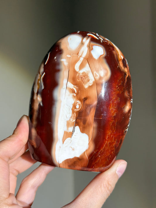 Large Chunky Carnelian x Orca Agate Freeform, Madagascar