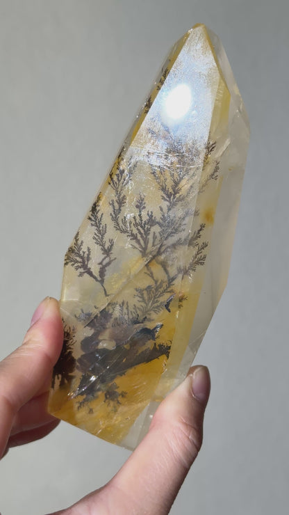 Rare Statement Dendritic Girasol Quartz Freeform on Stand, Brazil